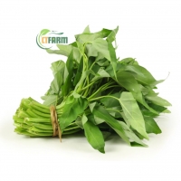 Rau Muống Hữu Cơ