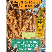[Ưu đãi lớn SN Vườn Sâm Tổ 8 tuổi] Củ Sâm Nam núi Dành gần 8 tuổi tươi 1kg - Sâm Tổ núi Dành