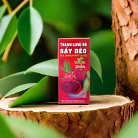 Thanh long đỏ sấy dẻo 65g