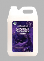 Nước Giặt COMMON 10KG – Sạch Sâu, Thơm Lâu, An Toàn Cho Cả Gia Đình