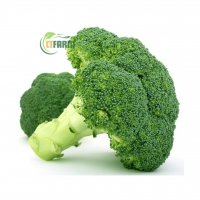 Súp Lơ Xanh Hữu Cơ