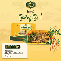 Set quà tặng Trường Thọ – Set quà Tết Sâm Nam núi Dành VIP - Sâm Tổ núi Dành
