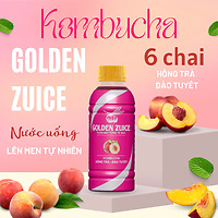 Kombucha Golden Zuice chai 350 ML