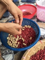 [1kg] Lạc đỏ lục yên