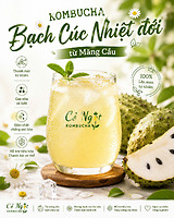 KAMBUCHA BẠCH CÚC NHIỆT ĐỚI TỪ MÃNG CẦU – THANH MÁT, THƠM NGON TỪ THIÊN NHIÊN