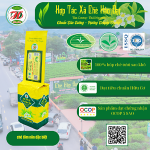 Chè Tôm Nõn Đặc Biệt gói 200g – HTX Chè Hảo Đạt