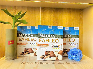 Hạt Macca Sấy Chẻ Nứt 500g Hộp Giấy – OCOP 4 Sao Đắk Lắk – Hạt To, Thơm Béo