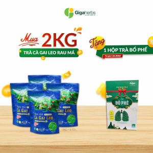 2Kg Trà Cà Gai Leo Rau Má GiGa + Tặng 1 Trà Bổ Phế Trà Thảo Dược Herbal Tea