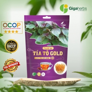 Trà Tía Tô Gold GigaHerbs