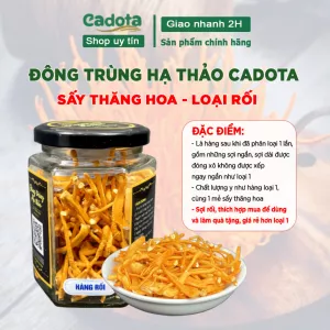 Đông trùng hạ thảo CADOTA sấy thăng hoa, Hũ 10Gr Hàng Sợi Rối, bán lẻ như bán buôn