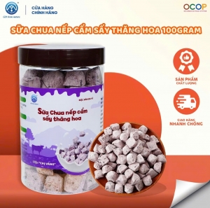 Sữa Chua Nếp Cẩm Sấy Thăng Hoa Chị Vàng Milk Hộp 100g - Giòn Xốp, Chua Ngọt Tự Nhiên - Bữa Ăn Dinh Dưỡng Cho Cả Gia Đình