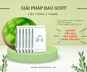 Giải pháp dành cho người bị GOUT - Liệu trình 2 tháng ANHERBAL