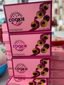 Bánh quy thanh long 250g