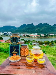 Đông trùng hạ thảo Sấy Khô Thăng Hoa Hộp 10g loại 1