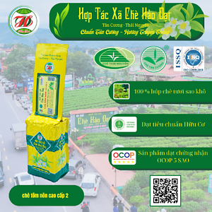 Chè Tôm Nõn Cao Cấp 2 (gói 200g) – HTX Chè Hảo Đạt