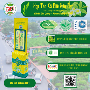 Chè Tôm Nõn Cao Cấp 1 (gói 200g) – HTX Chè Hảo Đạt