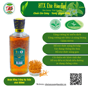 Rượu Đông Trùng Hạ Thảo 650ml – HTX chè Hảo Đạt
