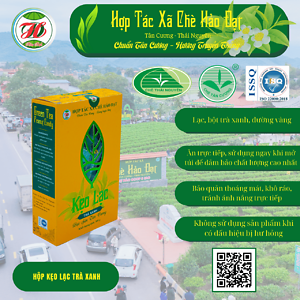 Kẹo Lạc Trà Xanh Hảo Đạt 300g – Hương Vị Lạc Rang Kết Hợp Trà Xanh Tân Cương