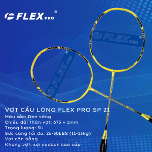 VỢT CẦU LÔNG FLEX PRO SP21