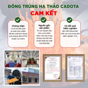 Đông Trùng Hạ Thảo khô SỢI GÃY CADOTA 25G, Ngon Dễ Sử Dụng, Dước Chất Cao Tốt Cho Sức Khỏe, Giá Lại Rất Rẻ