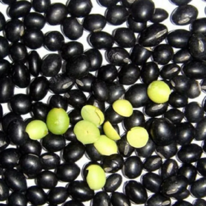 BỘT ĐẬU ĐEN (25kg/bao) 