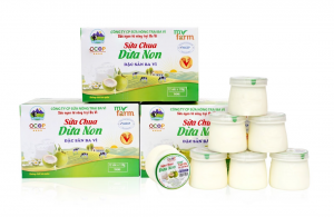 Sữa Chua Trân Châu Đường Đen MyFarm 110g – Dẻo Dai Trân Châu, Béo Thơm Tự Nhiên, Hũ Tiện Lợi