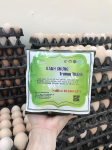 BÁNH CHƯNG NHÂN THỊT TRƯỜNG THÀNH
