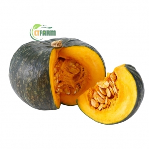 Bí Hạt Dẻ (Bí Khoai Lang)