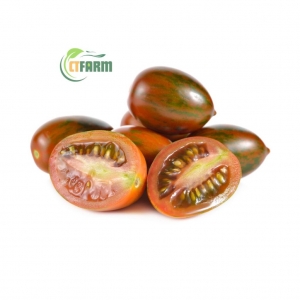 Cà Chua Socola Hữu Cơ