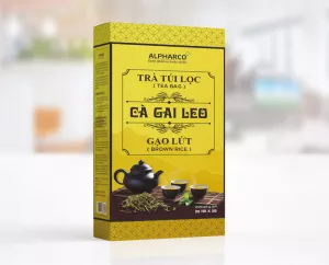 TRÀ TÚI LỌC CÀ GAI LEO GẠO LỨT