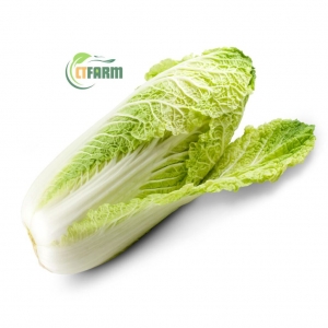 Cải Thảo Hữu Cơ