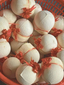 Dừa trọc có đế size 600 gram