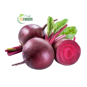  Củ Dền Hữu Cơ