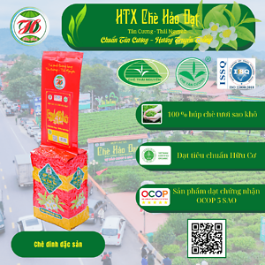 Chè Đinh Đặc Sản gói 200g – HTX Chè Hảo Đạt