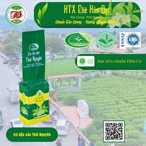 Chè đặc sản Thái Nguyên gói 200g – HTX chè Hảo Đạt