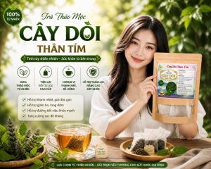 TRÀ TÚI LỌC CÂY DÒI THÂN TÍM – LIỆU PHÁP TỪ THIÊN NHIÊN CHO LÁ PHỔI VÀ HỆ HÔ HẤP