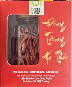 Nấm Đông Trùng Hạ Thảo Thanh Nhàn – Đông Trùng Hạ Thảo Hữu Cơ Giàu Dược Chất, Hỗ Trợ Tăng Cường Sức Khỏe 