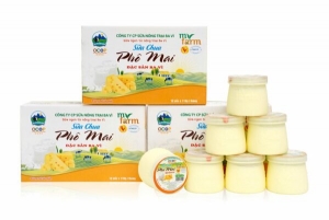 Sữa Chua Phô Mai MyFarm 110g – Béo Dịu Vị Phô Mai, Tươi Mát, Dễ Ăn