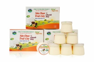 Sữa chua Trái Cây Vị Chanh Dây 110g 