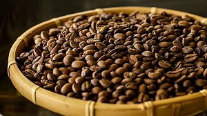 CÀ PHÊ HẠT RANG ROBUSTA LÂM ĐỒNG HONEY 500G – ĐẬM ĐÀ, NGỌT HẬU, HƯƠNG THƠM TỰ NHIÊN