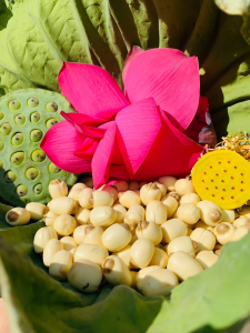 Hạt sen tươi - 500g