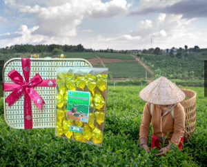 NHẤT THÁI TRÀ 5 SAO (20 GÓI x 10GR) – TRÀ THÁI NGUYÊN CAO CẤP, CHÁT ÊM ĐƯỢM VỊ, HẬU NGỌT SÂU