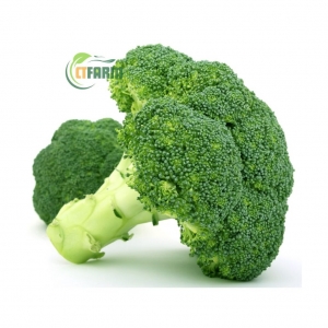 Súp Lơ Xanh Hữu Cơ