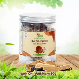 NẤM LINH CHI CENMUSH VIỆT NAM HŨ 50g – GIỐNG HỒNG CHI CẮT LÁT