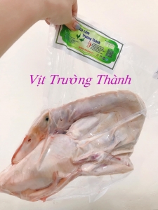 VỊT TRƯỜNG THÀNH