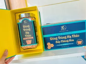 Đông trùng hạ thảo Sấy Khô Thăng Hoa Hộp 50g loại 1