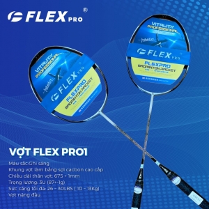 VỢT CẦU LÔNG FLEX PRO 1