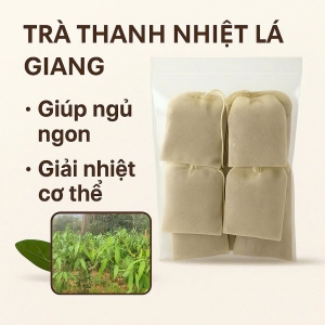 TRÀ THANH NHIỆT LÁ GIANG ( gói 5 túi )