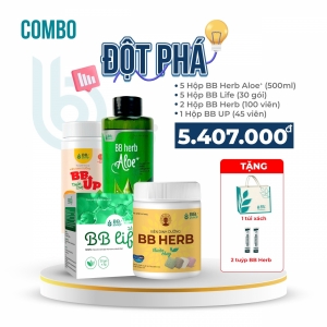 COMBO Đột Phá BB HERB