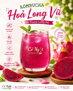 KOMBUCHA HỎA LONG VŨ – THANH LONG ĐỎ TỰ NHIÊN, THANH MÁT MỖI NGÀY